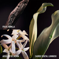 OLYMPEA PARFUM  80ml-221410 OLYMPEA PARFUM  80ml-221410 2